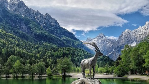 Zlatorog-symbol Julských Alp