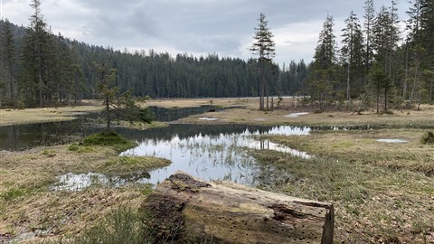 Šumava - zelené srdce Evropy