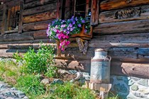 květinové pohlazení po duši