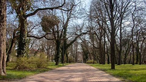 nádherný lázeňský park v Gyule