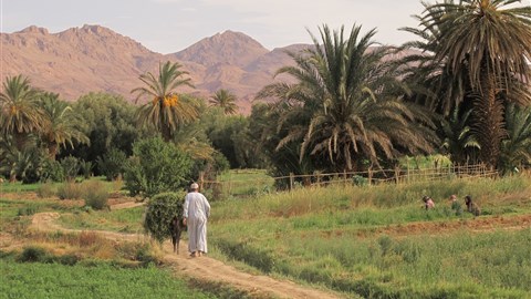 Nebo odpočinek v oáze...