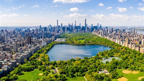 Central Park - zelené plíce New Yorku