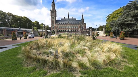 Krása královského města Haag