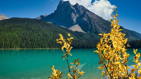 Až panenská příroda