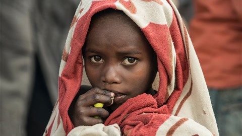 Úžasní místní obyvatelé