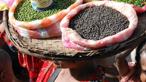 Je libo kořeníčko...